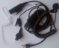  Noname RGCM-555 (MT-35)