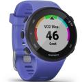   Garmin Forerunner 45 Small Iris
