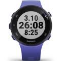   Garmin Forerunner 45 Small Iris
