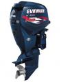  Evinrude E 115 DBX