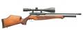  BSA SCORPION T10 BEECH PCP