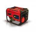  (220 )  Biedronka GP5055BS