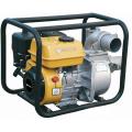     Forte FP30C