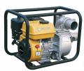     Forte FP20
