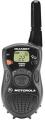  Motorola T6250