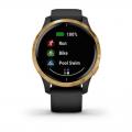   Garmin Venu Black Gold slate