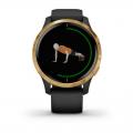   Garmin Venu Black Gold slate