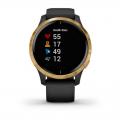   Garmin Venu Black Gold slate