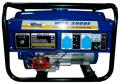  (220 )  Werk WPG 3000