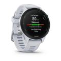   Garmin Forerunner 255s Music  